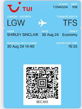 boarding pass